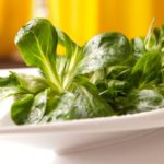 Feldsalat  pflanzen, pflegen und ernten - Unsere Tipps
