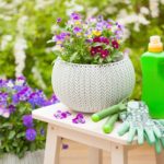 Schöne Blumen, Blumendünger und Gartenhandschuhe